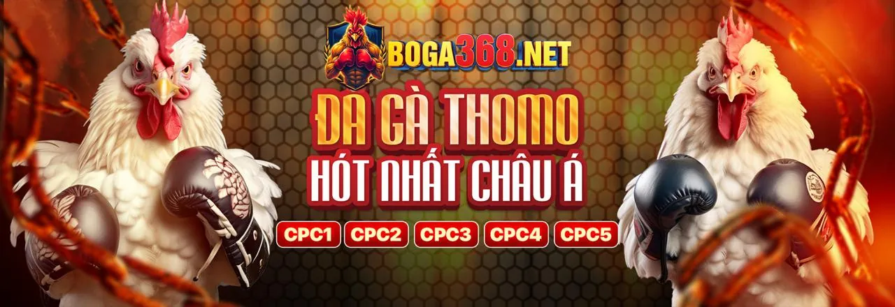 Tổng quan quy tắc trò chơi tại 888new30