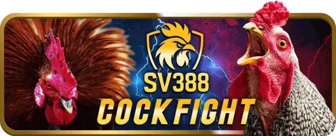 Đội ngũ chuyên nghiệp của 888new30 làm việc trong môi trường hiện đại, đảm bảo chất lượng dịch vụ cá cược trực tuyến và giải trí công bằng cho người chơi.